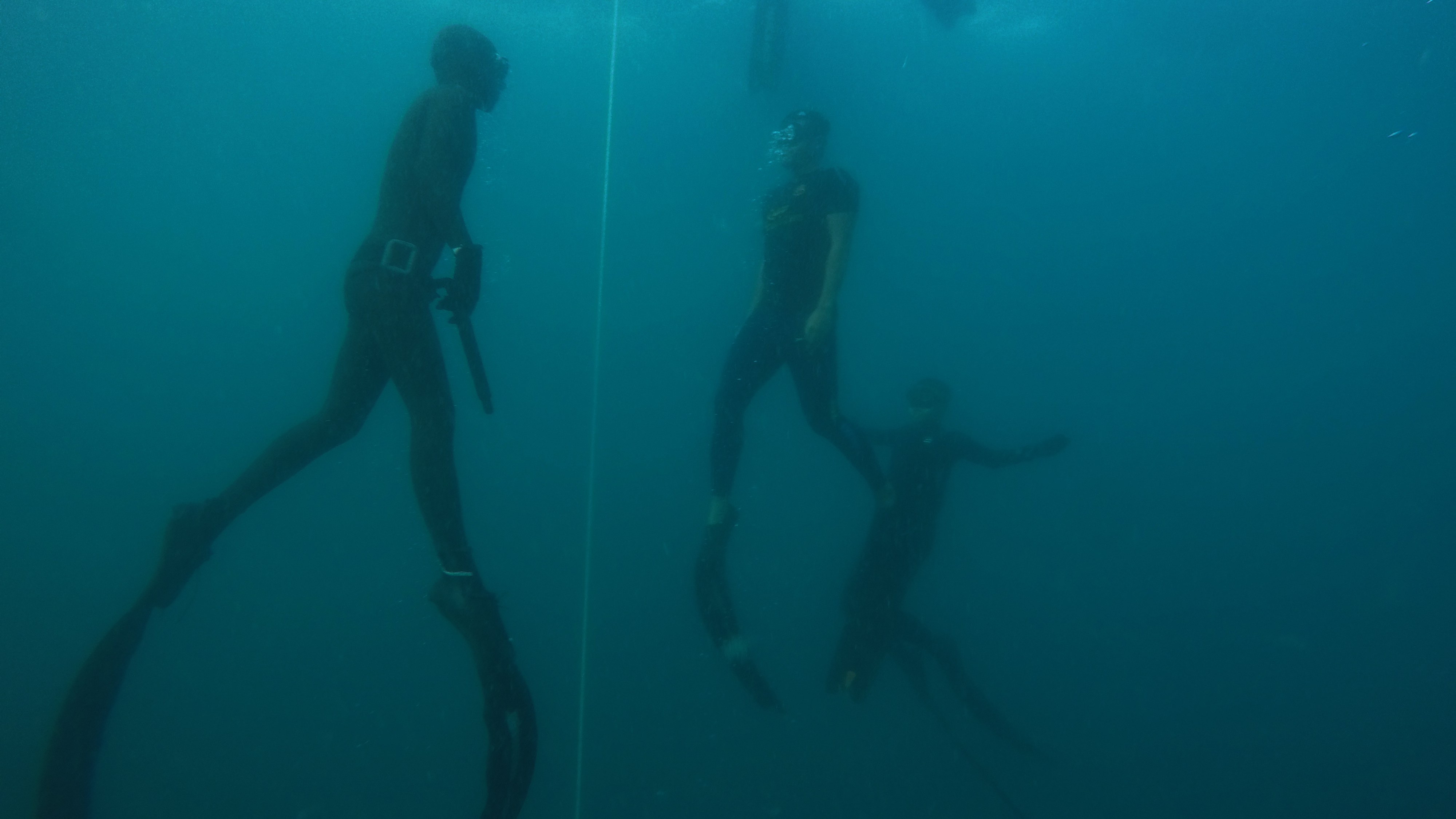 DCIM100GOPROGOPR4905.