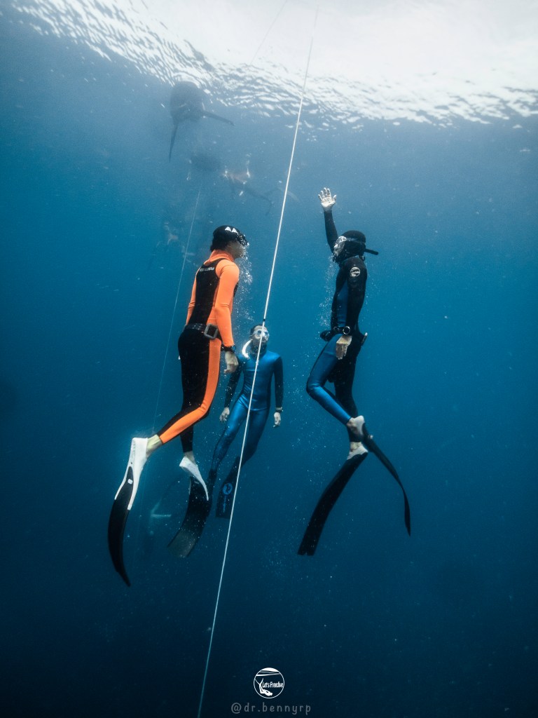 letsfreedive diving freedive freediving school education