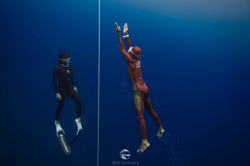 letsfreedive diving freedive freediving school education