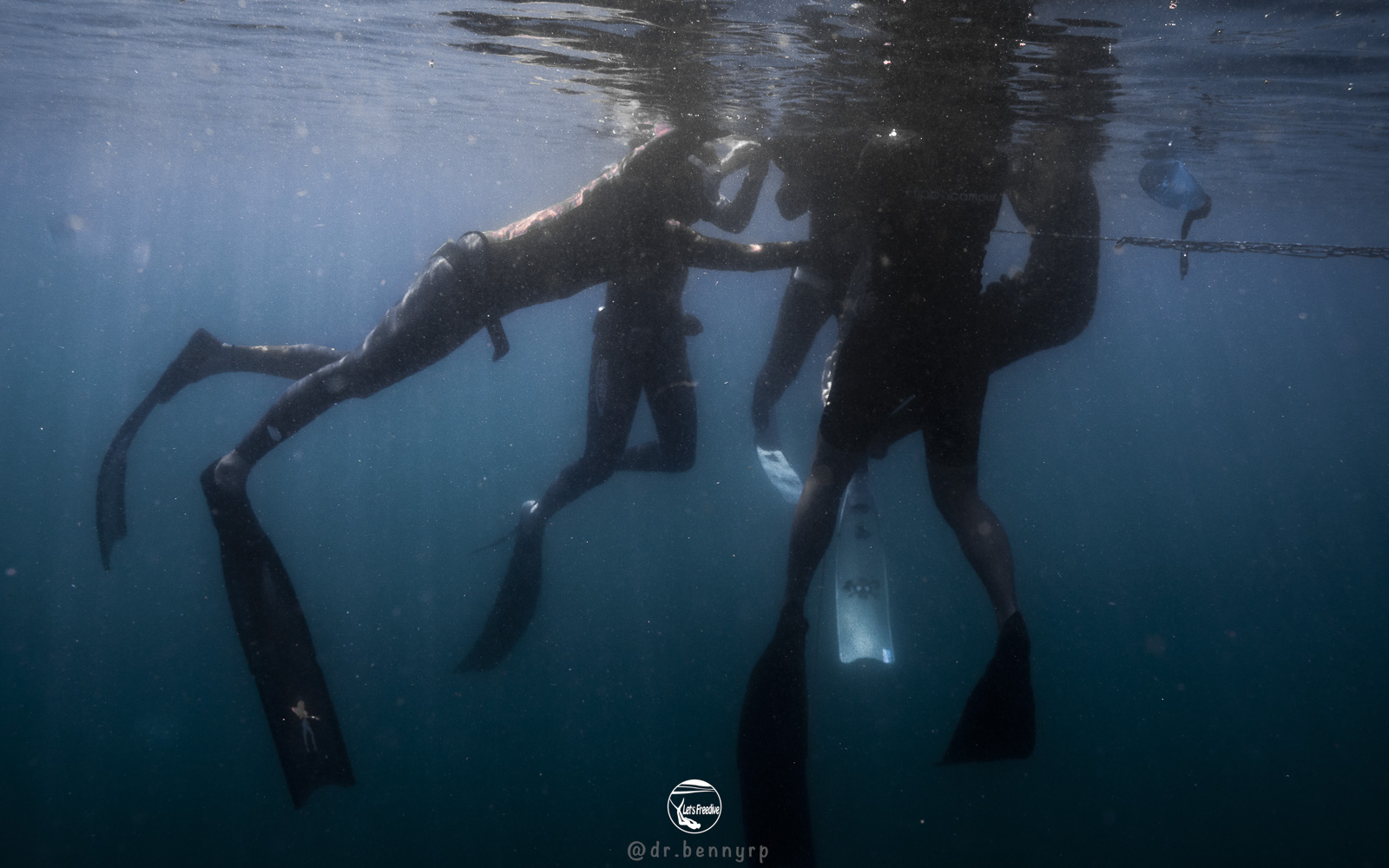 letsfreedive diving freedive freediving school education