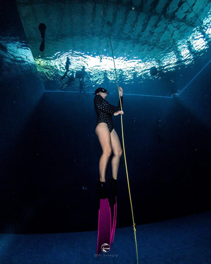 letsfreedive diving freedive freediving school education