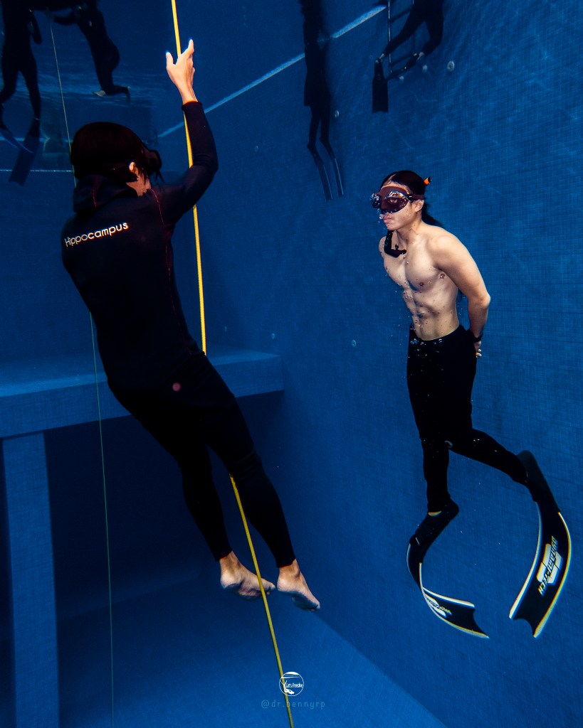 letsfreedive diving freedive freediving school education